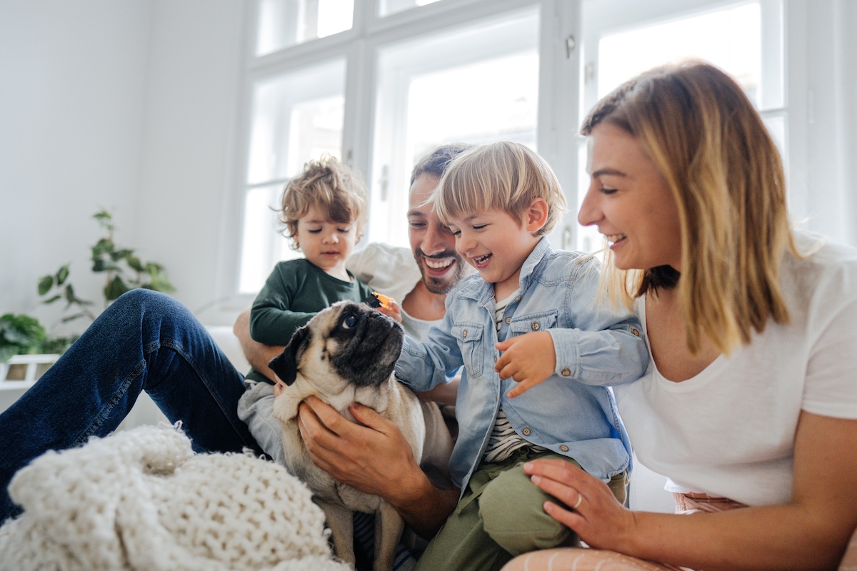 Family and dog in pest free home